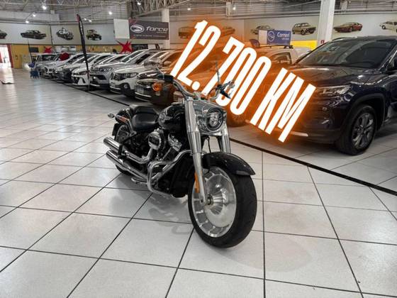 HARLEY-DAVIDSON SOFTAIL FAT BOY 114 